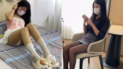 东坡先生原创视频